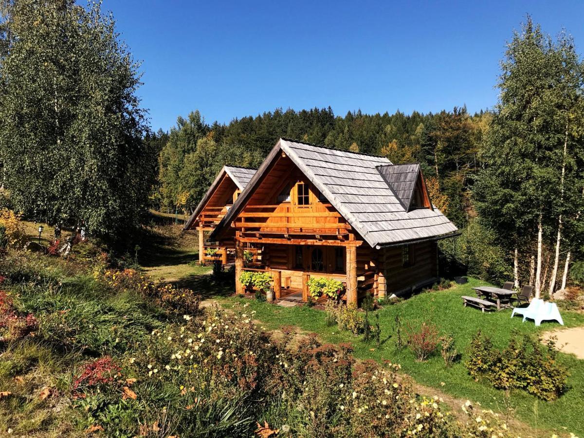Lesniowka Domki W Karpaczu Extérieur photo