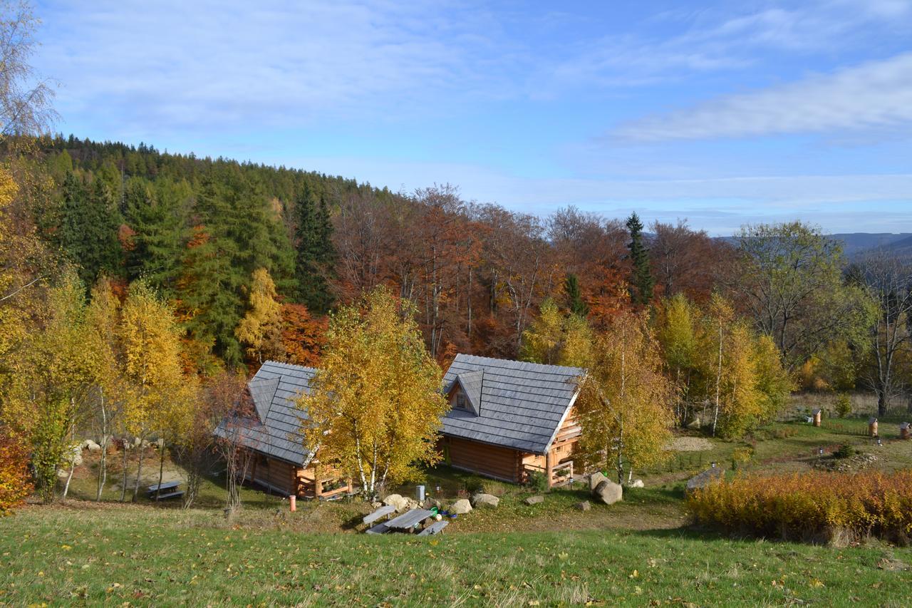 Lesniowka Domki W Karpaczu Extérieur photo