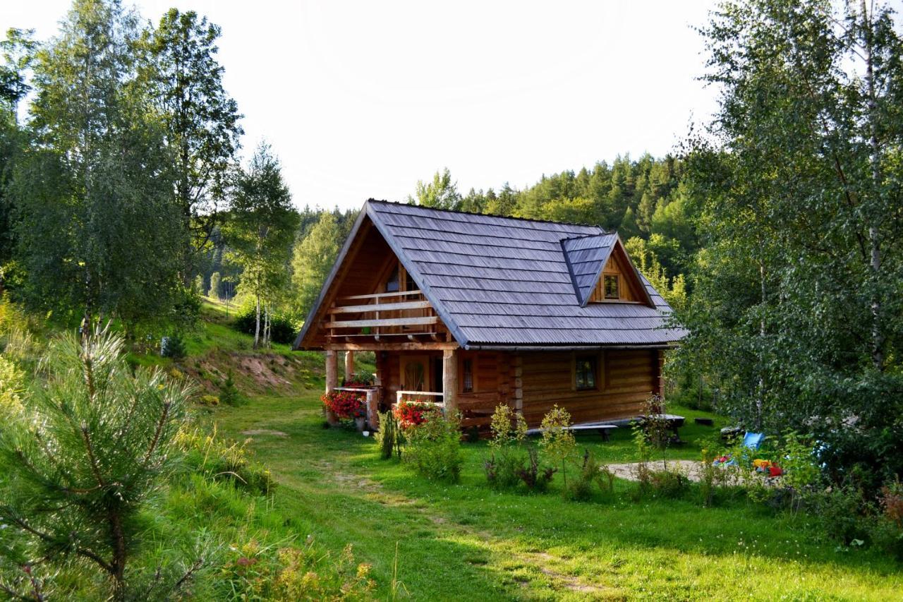 Lesniowka Domki W Karpaczu Extérieur photo