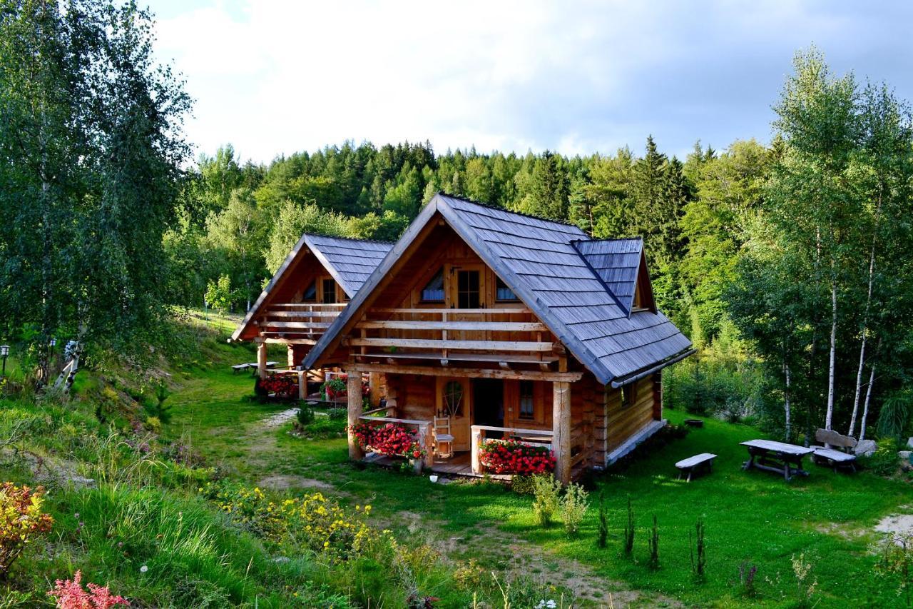Lesniowka Domki W Karpaczu Extérieur photo